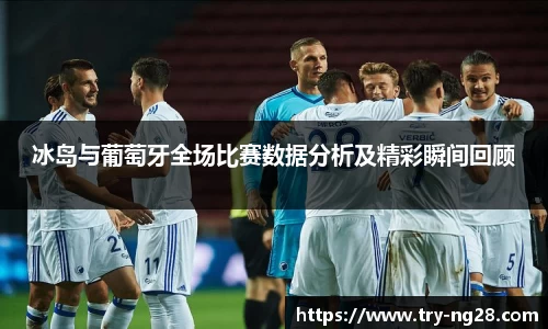 冰岛与葡萄牙全场比赛数据分析及精彩瞬间回顾